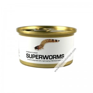 edible mealworms tenebrio molitor edible mealworms tenebrio molitor