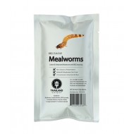Edible Mealworms