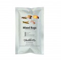 Bag of Assorted Edible Bugs