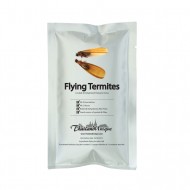Edible Winged Flying Termites