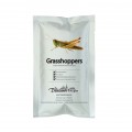Edible Grasshoppers - Caelifera