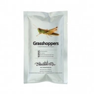 Edible Grasshoppers - Caelifera