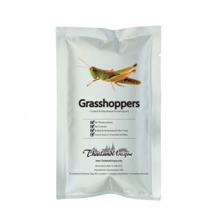 Edible Grasshoppers - Caelifera