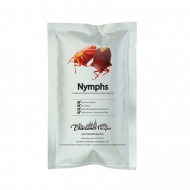 Edible Tessaratomidae Nymphs