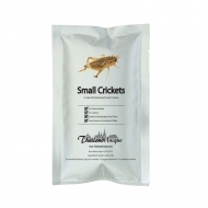 Edible Pregnant Field Crickets
