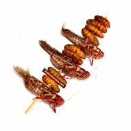 Wasabi Flavour 2 Bug Kebab