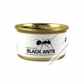 Canned Black Ants with Salt