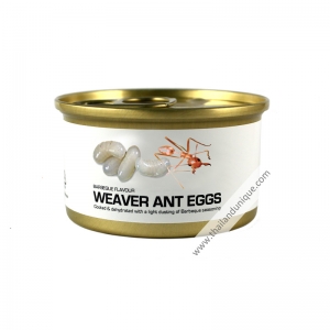 canned-weaver-ant-eggs-300x300.jpg