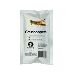 Edible insects for sale uk