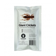 Oven Roasted Giant Crickets