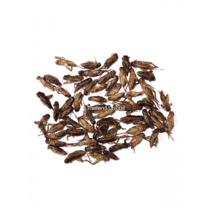 dehydrated-edible-crickets-300x300.jpg