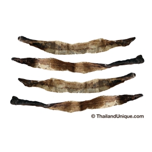 dried-edible-earthworm-jerky-300x300.jpg