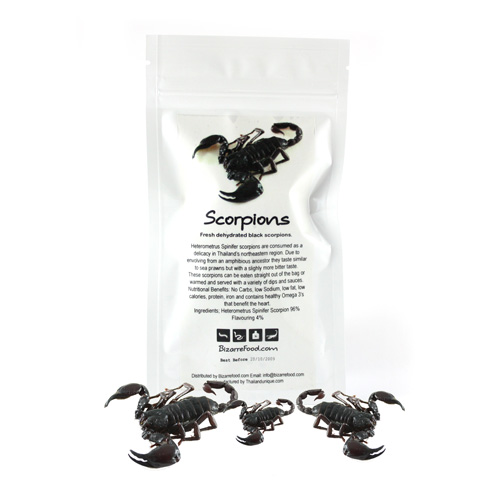 Curry Flavour Scorpions Curry Flavour Scorpions