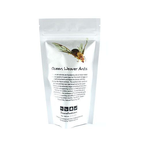 Queen Weaver Ants (Rare)