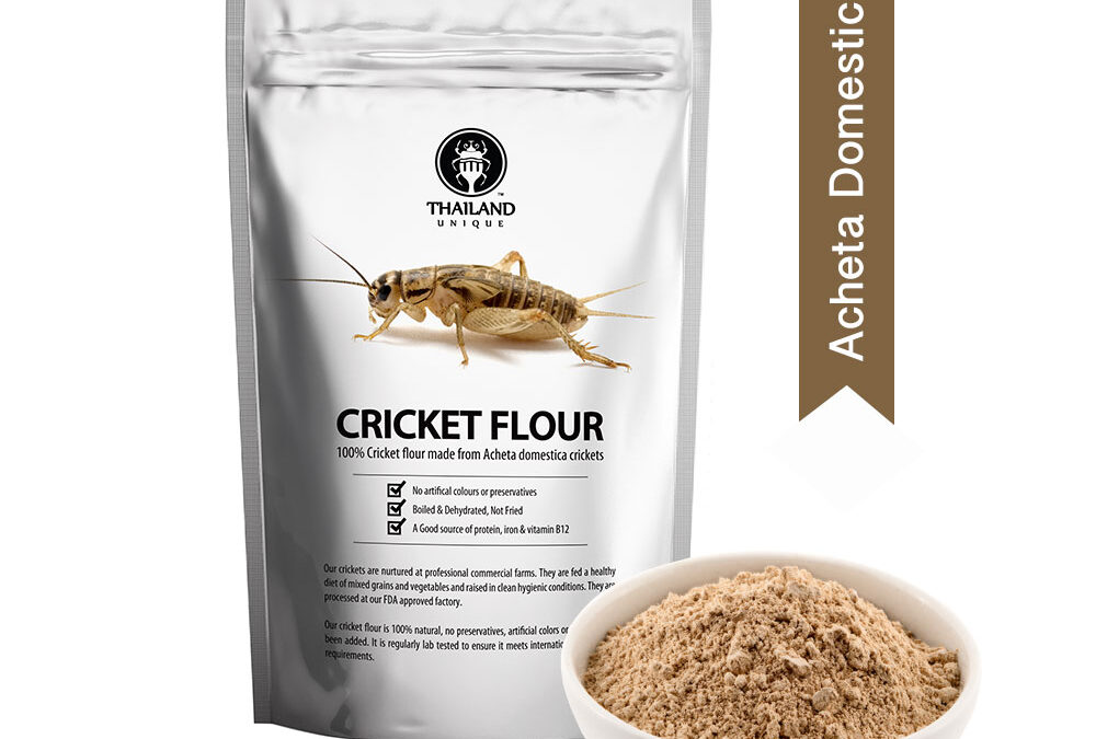 Wholesale cricket powder (flour)