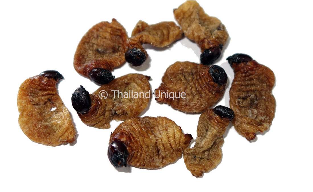 Sago Worm Pupae