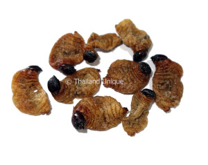 sago worm pupae