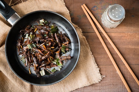 5 ways you should try eating edible insects for the first time