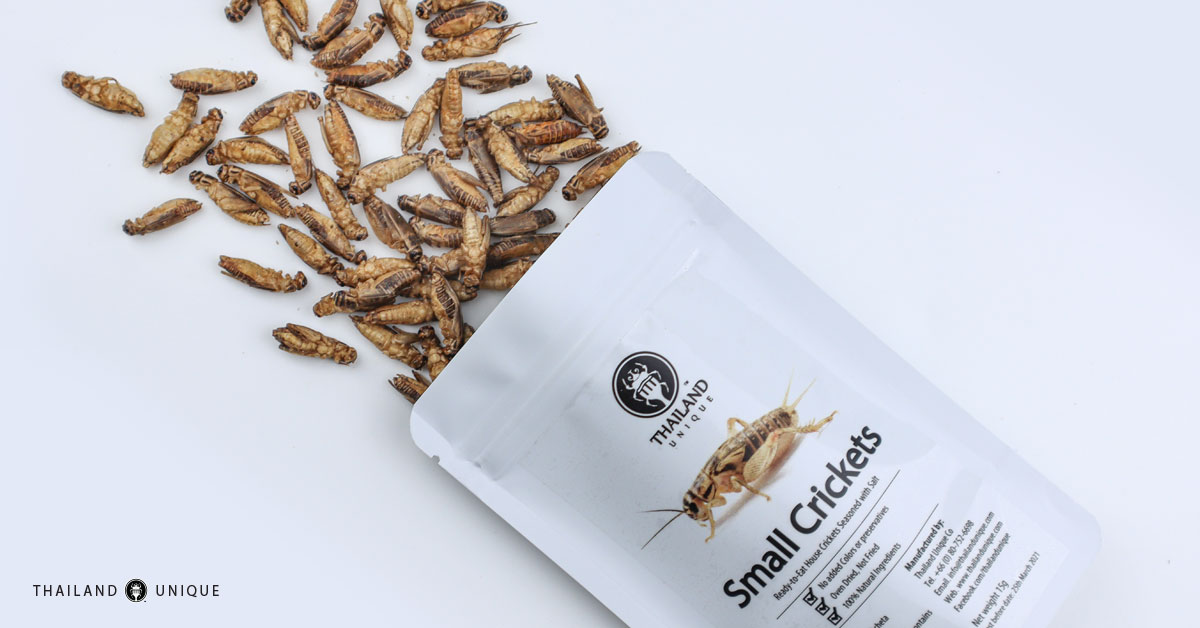 edible crickets in bag