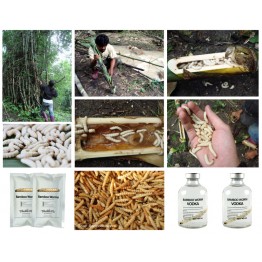 Bamboo Worm Vodka 60ml (Round)