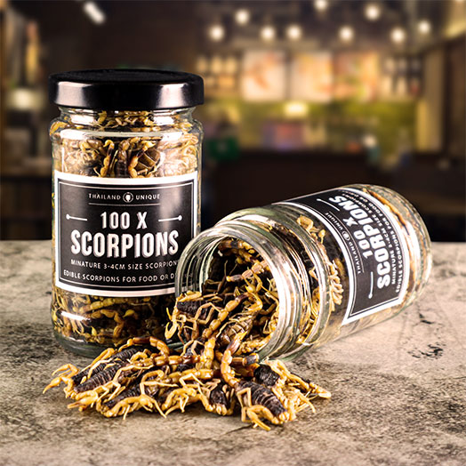 Edible Scorpions bulk