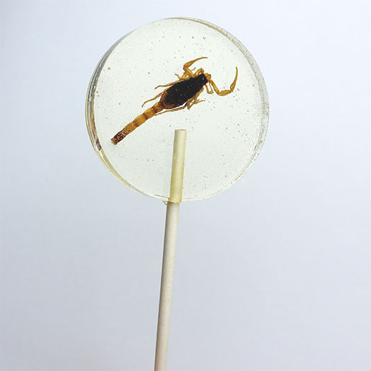 Scorpion Lollipop Candy Suckers