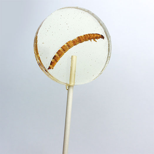 Superworm Lollipop Candy Suckers