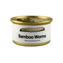 Canned Bamboo Worms