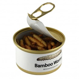 Canned Bamboo Worms