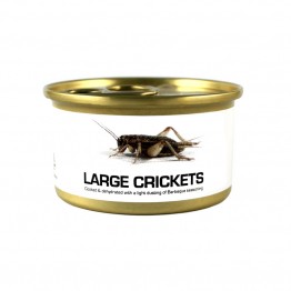 Fried Edible Big Crickets