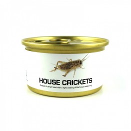 Canned Small Crickets