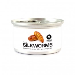 Fried Edible Silk Moth Pupae