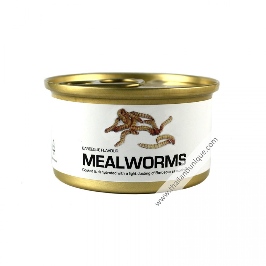 Canned Mealworms with Salt