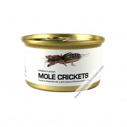 Canned Mole Crickets with Salt