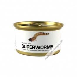 Canned Superworms with Salt