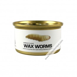 Canned Waxworms with Salt