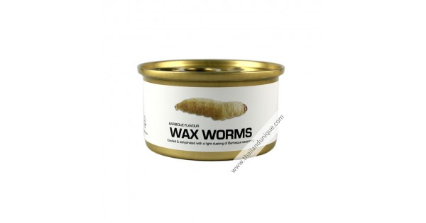 download mummified wax worms download mummified wax worms