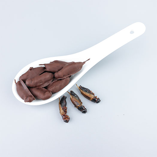 Chocolate Covered Black Crickets