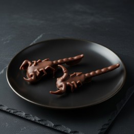 Edible Scorpions bulk Edible Scorpions bulk