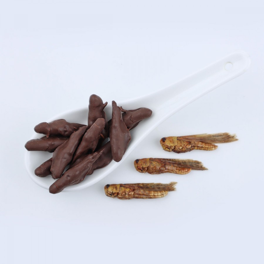 chocolate-candy-grasshoppers-900x900.jpg