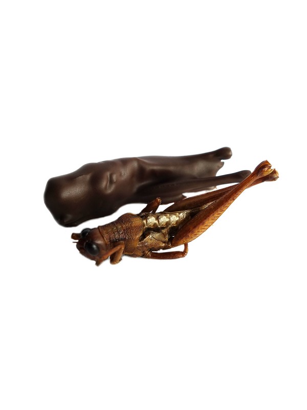 Dark Chocolate Candy Coating Dark Chocolate Candy Coating