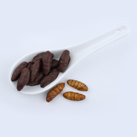 Silkworm Pupae Chocolate Covered