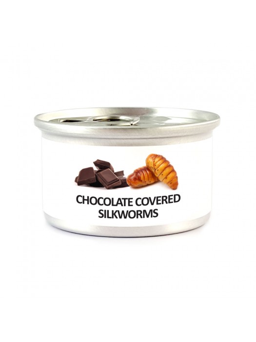 Chocolate Covered Silkworm Pupae