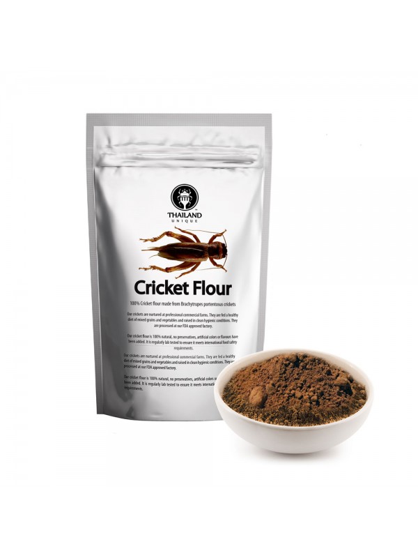 Cricket Powder 100g Brachytrupes portentosus