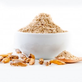 Cricket Powder 100g Acheta Domesticus