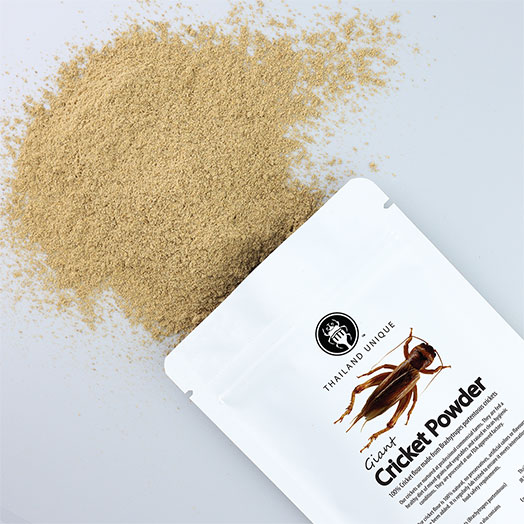 Giant Cricket Powder 100g