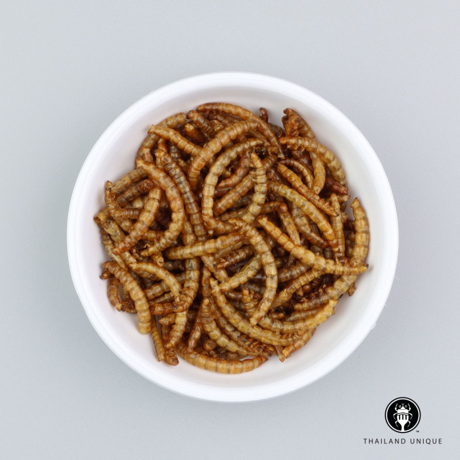 Mealworms Wholesale