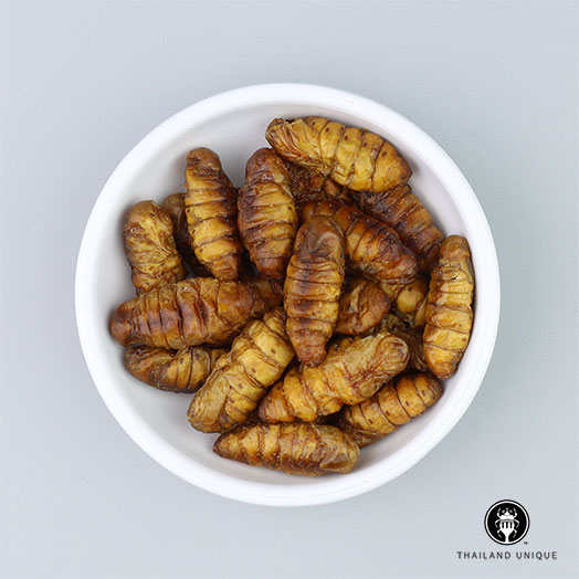 Silkworm Pupae Wholesale 500g