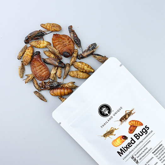 Mixed Edible Insects (NEW)