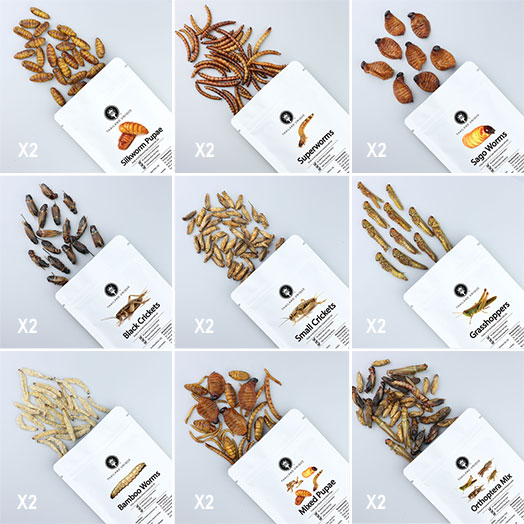 Edible Insects Multi-Pack -18 bags